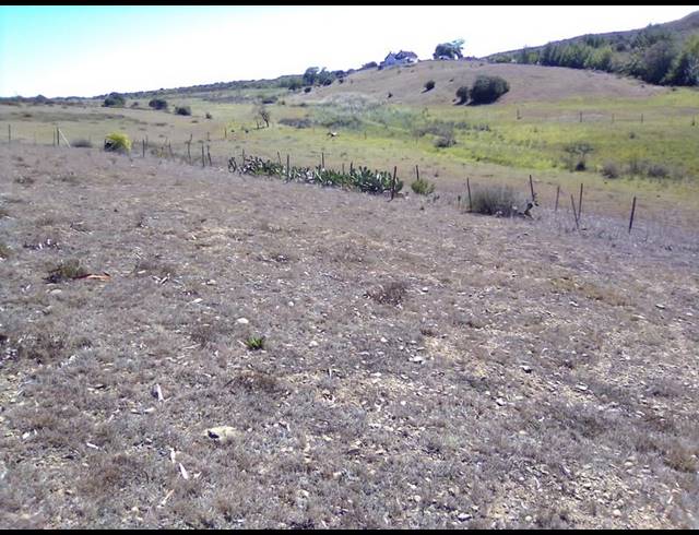 FARM FOR SALE IN STILBAAI RURAL